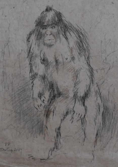 yeti_sketch.jpg