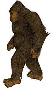 Yeti_coloris__.jpg