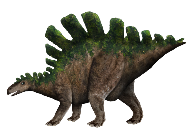 Mbielu-mbielu-mbielu.png